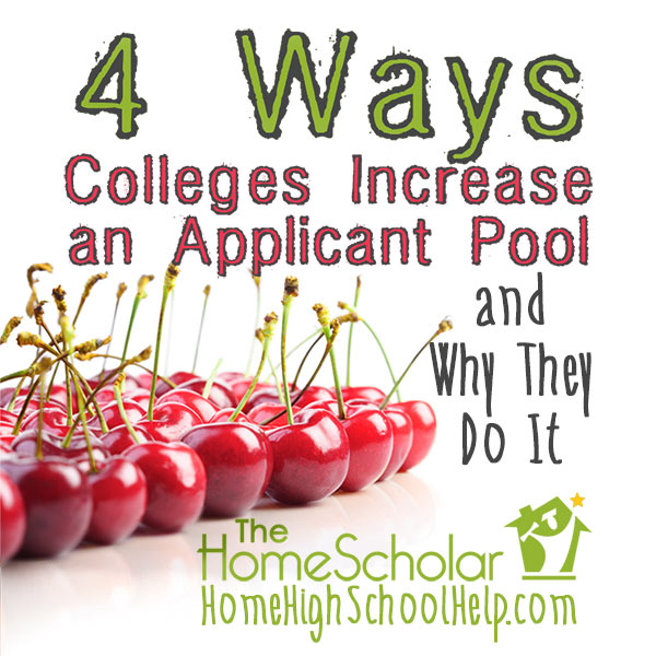 applicant   applicants